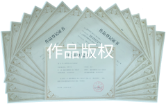 已完成版权登记40余件